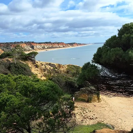 Villa Paradise Villa