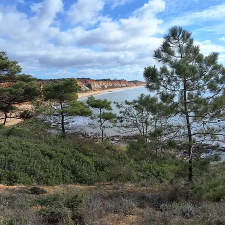 Villa Villa Paradise