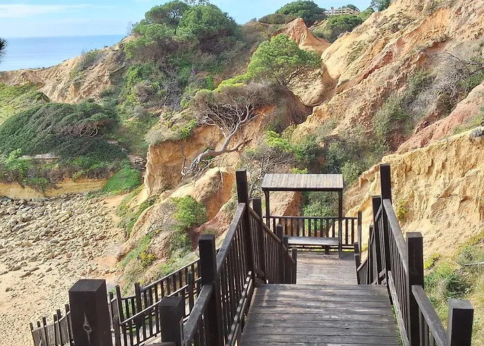 Villa Paradise Вилла Bicas