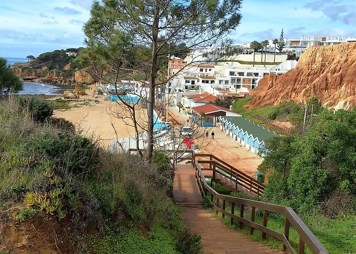 Paradise *
